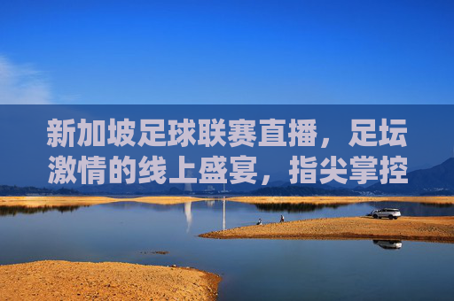 新加坡足球联赛直播,足坛激情的线上盛宴,指尖掌控绿茵风云