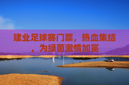 建业足球赛门票,热血集结,为绿茵激情加冕