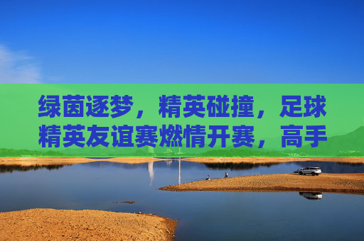 绿茵逐梦,精英碰撞,足球精英友谊赛燃情开赛,高手过招共话竞技真谛,绿茵逐梦精英碰撞,足球精英友谊赛燃情开赛,高手过招共话竞技真谛