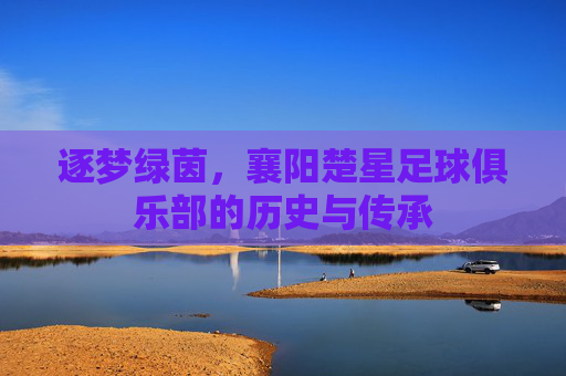 逐梦绿茵,襄阳楚星足球俱乐部的历史与传承