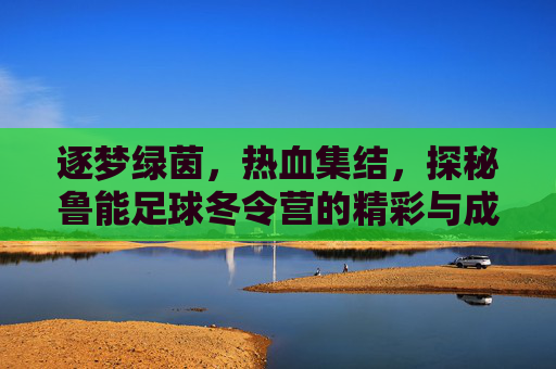 逐梦绿茵，热血集结，探秘鲁能足球冬令营的精彩与成长，逐梦绿茵，热血集结，探秘鲁能足球冬令营的精彩与成长