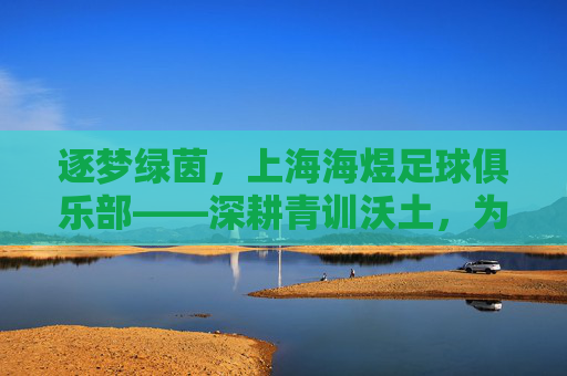 逐梦绿茵,上海海煜足球俱乐部——深耕青训沃土,为足球未来注入青春力量
