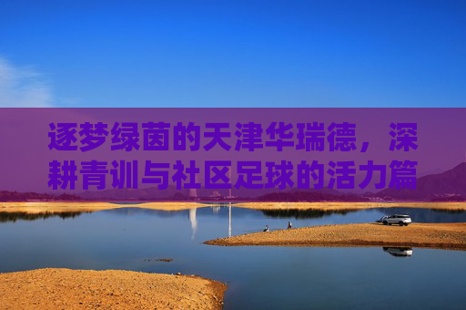 逐梦绿茵的天津华瑞德，深耕青训与社区足球的活力篇章，逐梦绿茵的天津华瑞德，深耕青训与社区足球的活力篇章
