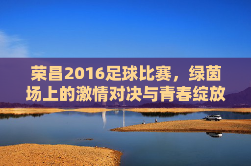 荣昌2016足球比赛,绿茵场上的激情对决与青春绽放,荣昌2016足球比赛,绿茵场上的激情对决与青春绽放