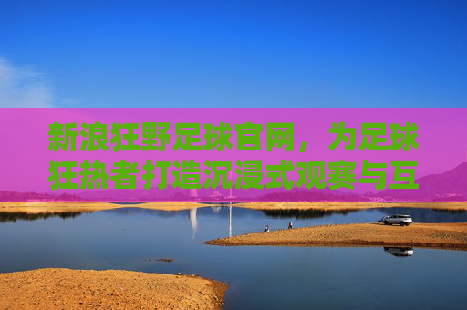 新浪狂野足球官网，为足球狂热者打造沉浸式观赛与互动新体验