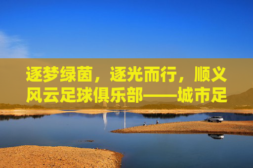 逐梦绿茵,逐光而行,顺义风云足球俱乐部——城市足球的活力脉搏与传承故事