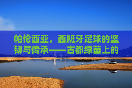 帕伦西亚，西班牙足球的坚韧与传承——古都绿茵上的百年坚守，帕伦西亚，西班牙足球的坚韧与传承——古都绿茵上的百年坚守