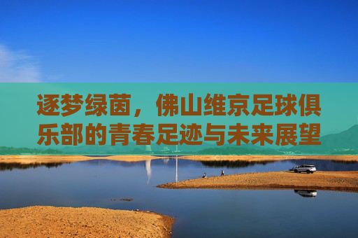逐梦绿茵，佛山维京足球俱乐部的青春足迹与未来展望，逐梦绿茵，佛山维京足球俱乐部的青春足迹与未来展望