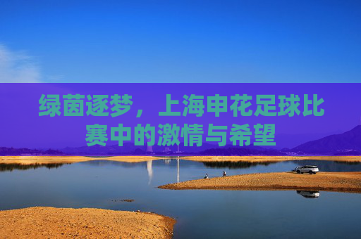 绿茵逐梦,上海申花足球比赛中的激情与希望