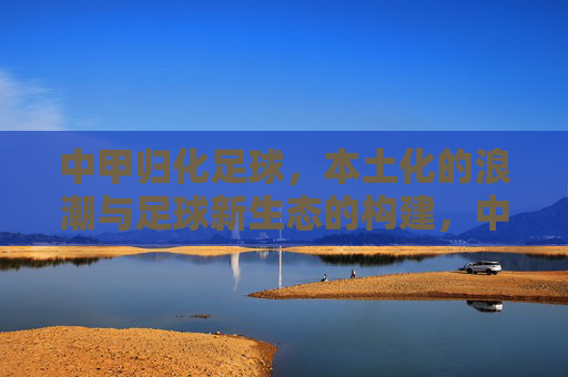 中甲归化足球,本土化的浪潮与足球新生态的构建,中甲归化足球,本土化浪潮与足球新生态的构建