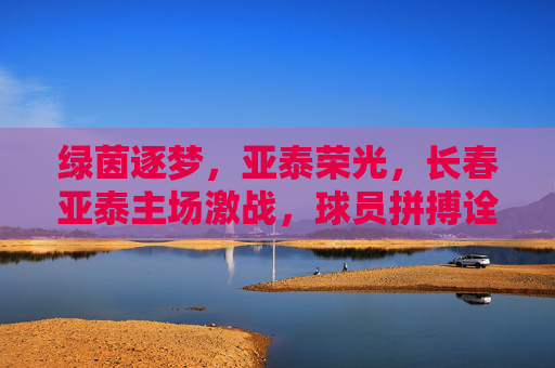 绿茵逐梦，亚泰荣光，长春亚泰主场激战，球员拼搏诠释足球魅力，绿茵逐梦，亚泰荣光，长春亚泰主场激战，球员拼搏诠释足球魅力