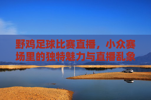野鸡足球比赛直播,小众赛场里的独特魅力与直播乱象,野鸡足球比赛直播,小众赛场里的独特魅力与乱象交织