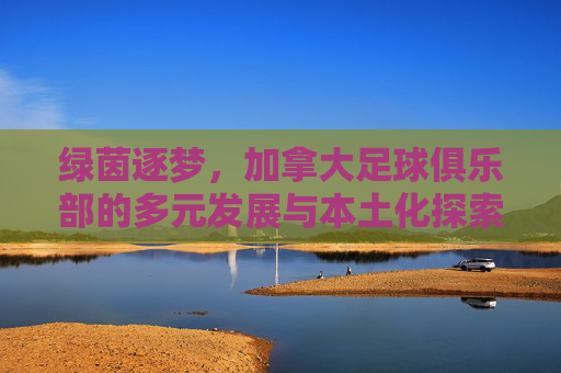 绿茵逐梦,加拿大足球俱乐部的多元发展与本土化探索,绿茵逐梦,加拿大足球俱乐部的多元发展与本土化探索
