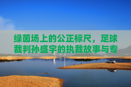 绿茵场上的公正标尺，足球裁判孙盛宇的执裁故事与专业坚守，绿茵场上的公正标尺，足球裁判孙盛宇的执裁故事与专业坚守