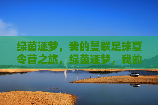 绿茵逐梦，我的曼联足球夏令营之旅，绿茵逐梦，我的曼联足球夏令营之旅