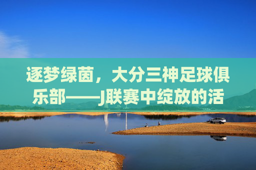 逐梦绿茵，大分三神足球俱乐部——J联赛中绽放的活力与希望，逐梦绿茵，大分三神足球俱乐部——J联赛中绽放的活力与希望