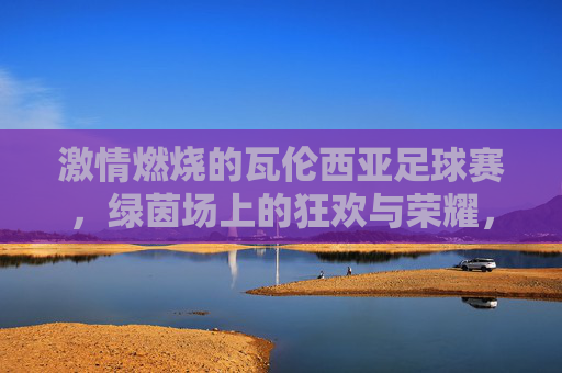 激情燃烧的瓦伦西亚足球赛，绿茵场上的狂欢与荣耀，激情燃烧的瓦伦西亚足球赛，绿茵场上的狂欢与荣耀