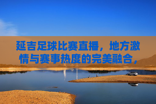 延吉足球比赛直播,地方激情与赛事热度的完美融合,延吉足球比赛直播,地方激情与赛事热度的完美融合