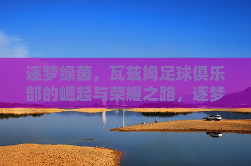 逐梦绿茵,瓦兹姆足球俱乐部的崛起与荣耀之路,逐梦绿茵,瓦兹姆足球俱乐部的崛起与荣耀之路