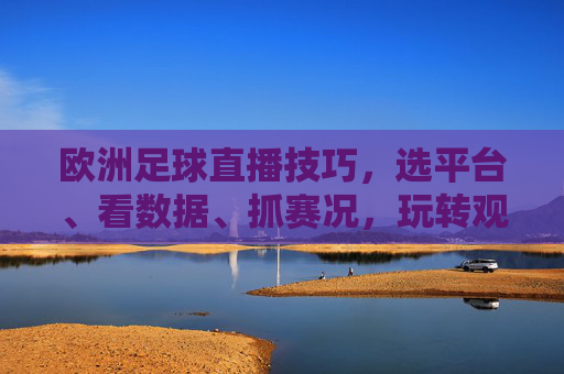欧洲足球直播技巧，选平台、看数据、抓赛况，玩转观赛体验，欧洲足球直播技巧，选平台、看数据、抓赛况，玩转观赛体验