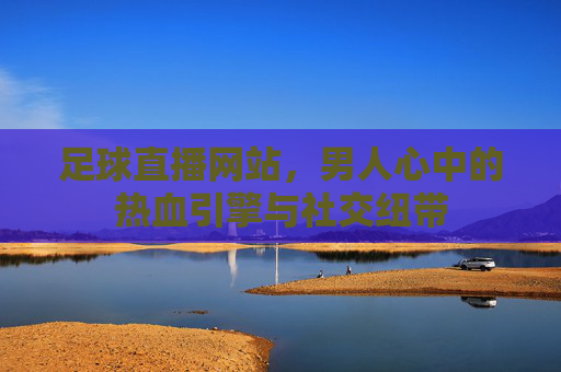 足球直播网站,男人心中的热血引擎与社交纽带