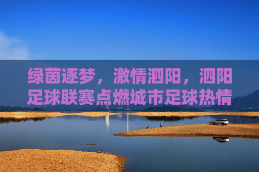 绿茵逐梦，激情泗阳，泗阳足球联赛点燃城市足球热情，绿茵逐梦，激情泗阳，泗阳足球联赛点燃城市足球热情