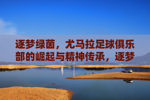 逐梦绿茵，尤马拉足球俱乐部的崛起与精神传承，逐梦绿茵，尤马拉足球俱乐部的崛起与精神传承