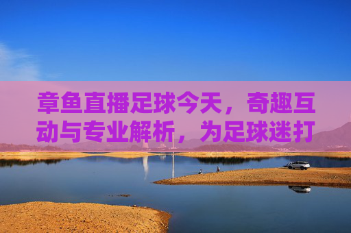 章鱼直播足球今天，奇趣互动与专业解析，为足球迷打造沉浸式观赛新体验，章鱼直播足球，奇趣互动与专业解析，为足球迷打造沉浸式观赛新体验