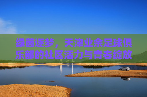 绿茵逐梦，天津业余足球俱乐部的社区活力与青春绽放，绿茵逐梦，天津业余足球俱乐部的社区活力与青春绽放