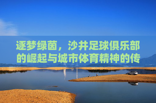逐梦绿茵,沙井足球俱乐部的崛起与城市体育精神的传承,逐梦绿茵,沙井足球俱乐部的崛起与城市体育精神的传承