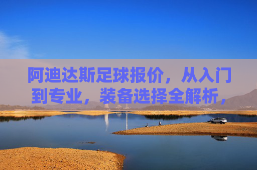 阿迪达斯足球报价,从入门到专业,装备选择全解析,阿迪达斯足球报价,从入门到专业,装备选择全解析