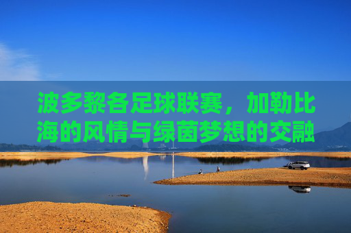 波多黎各足球联赛,加勒比海的风情与绿茵梦想的交融,波多黎各足球联赛,加勒比海的风情与绿茵梦想的交融