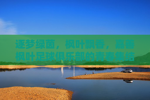 逐梦绿茵，枫叶飘香，嘉善枫叶足球俱乐部的青春集结与足球热爱的传承，逐梦绿茵，枫叶飘香，嘉善枫叶足球俱乐部的青春集结与足球热爱的传承