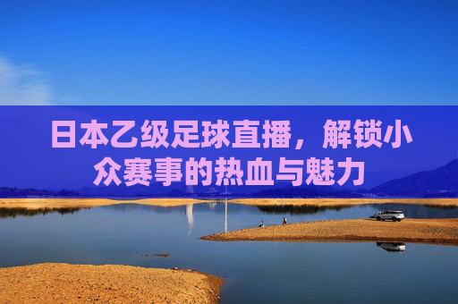 日本乙级足球直播,解锁小众赛事的热血与魅力