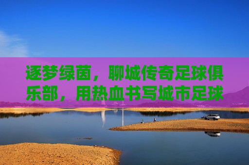 逐梦绿茵,聊城传奇足球俱乐部,用热血书写城市足球新篇章,逐梦绿茵,聊城传奇足球俱乐部,用热血书写城市足球新篇章