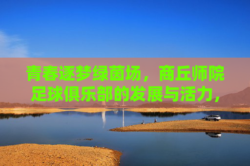 青春逐梦绿茵场，商丘师院足球俱乐部的发展与活力，青春逐梦绿茵场，商丘师院足球俱乐部的发展与活力
