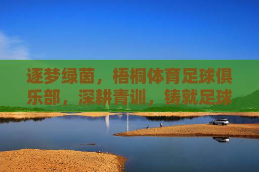 逐梦绿茵，梧桐体育足球俱乐部，深耕青训，铸就足球未来，逐梦绿茵，梧桐体育足球俱乐部深耕青训，铸就足球未来