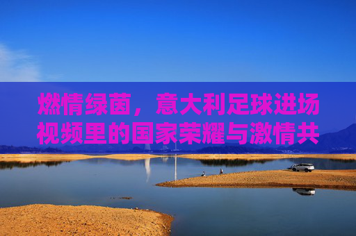 燃情绿茵，意大利足球进场视频里的国家荣耀与激情共鸣，燃情绿茵，意大利足球进场视频里的国家荣耀与激情共鸣