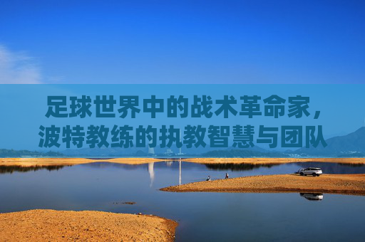 足球世界中的战术革命家，波特教练的执教智慧与团队重塑之路，足球世界中的战术革命家，波特教练的执教智慧与团队重塑之路