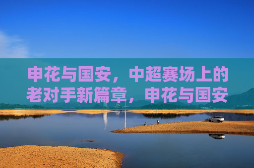 申花与国安,中超赛场上的老对手新篇章,申花与国安,中超赛场上的老对手新篇章