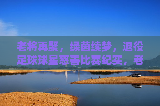 老将再聚,绿茵续梦,退役足球球星慈善比赛纪实,老将再聚,绿茵续梦,退役足球球星慈善比赛纪实
