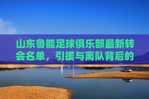 山东鲁能足球俱乐部最新转会名单,引援与离队背后的战术考量与市场逻辑,山东鲁能最新转会名单,引援与离队背后的战术考量与市场逻辑