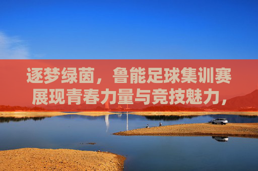 逐梦绿茵，鲁能足球集训赛展现青春力量与竞技魅力，逐梦绿茵，鲁能足球集训赛展现青春力量与竞技魅力