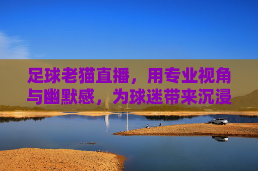足球老猫直播,用专业视角与幽默感,为球迷带来沉浸式球评体验,足球老猫直播,用专业视角与幽默感,为球迷打造沉浸式球评体验