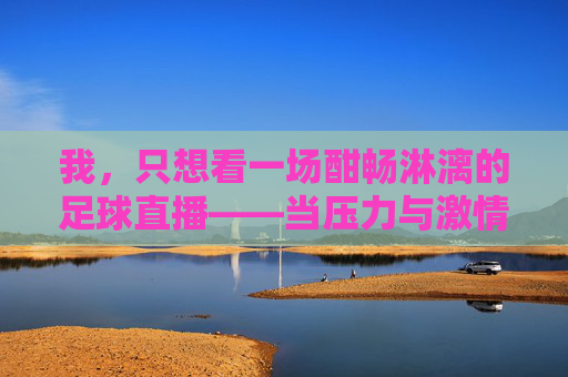 我，只想看一场酣畅淋漓的足球直播——当压力与激情在屏幕上交汇时，酣畅淋漓的足球直播，当压力与激情在屏幕上交汇时