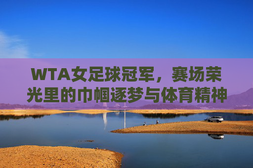 WTA女足球冠军，赛场荣光里的巾帼逐梦与体育精神传承，WTA女足球冠军，赛场荣光里的巾帼逐梦与体育精神传承