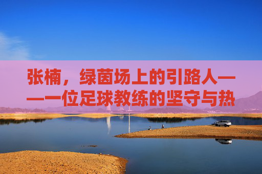 张楠,绿茵场上的引路人——一位足球教练的坚守与热爱,张楠,绿茵场上的引路人——一位足球教练的坚守与热爱