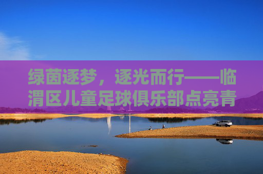 绿茵逐梦,逐光而行——临渭区儿童足球俱乐部点亮青少年足球新篇章,绿茵逐梦,逐光而行——临渭区儿童足球俱乐部点亮青少年足球新篇章