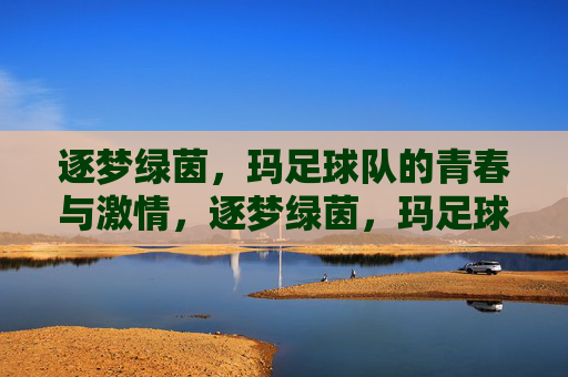 逐梦绿茵,玛足球队的青春与激情,逐梦绿茵,玛足球队的青春与激情