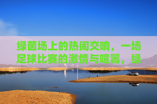 绿茵场上的热闹交响,一场足球比赛的激情与喧嚣,绿茵场上的热闹交响,一场足球比赛的激情与喧嚣